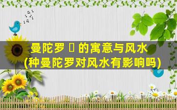 曼陀罗 ☘ 的寓意与风水(种曼陀罗对风水有影响吗)